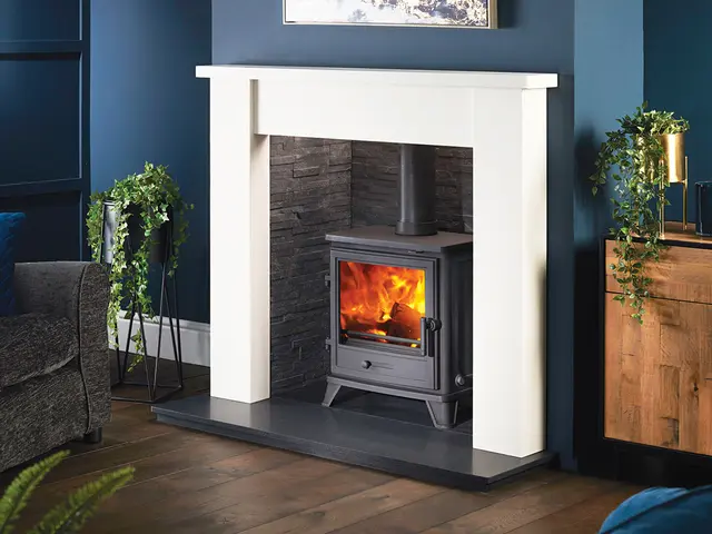 Capital Stoves Bassington Eco